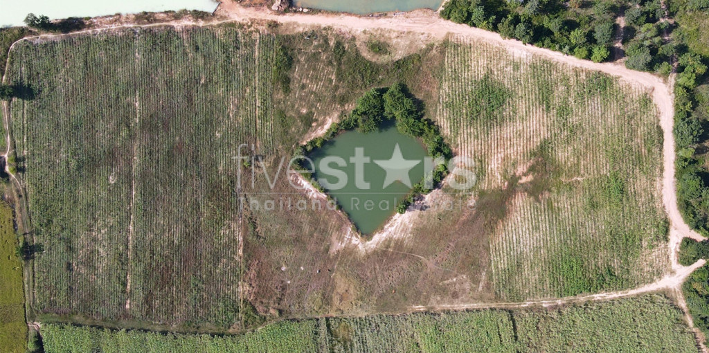 Exceptional investment opportunity on the Mekong River, photo 4