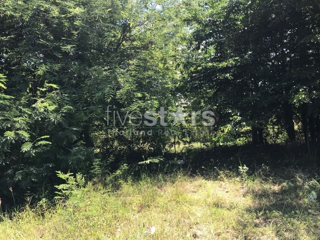13 Rai of Land In Sam Roi Yot, photo 7