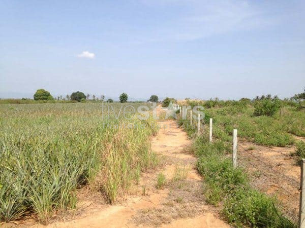 3.5 Rai Of Lovely Land, Nr Main Road With Great Views., photo 3