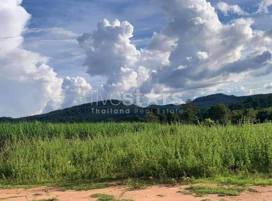 Exceptional investment opportunity on the Mekong River, photo 7