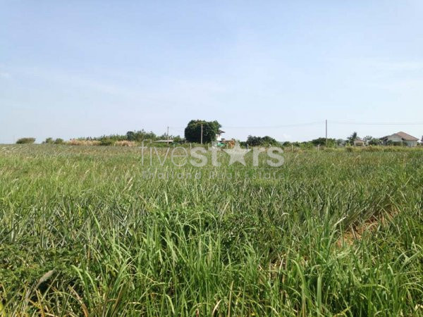 Land With Great Views, photo 5
