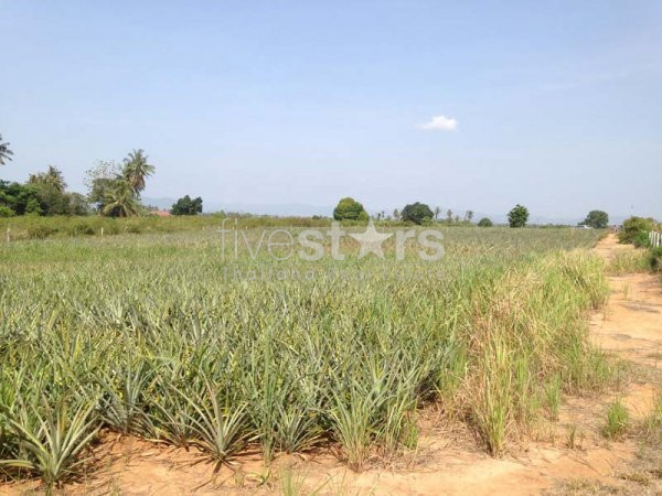 Land With Great Views, photo 8