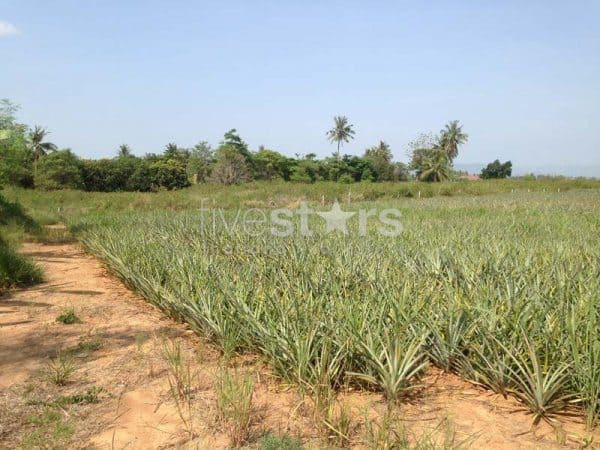 3.5 Rai Of Lovely Land, Nr Main Road With Great Views.