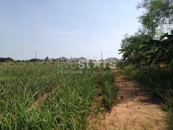 3.5 Rai Of Lovely Land, Nr Main Road With Great Views., photo 8