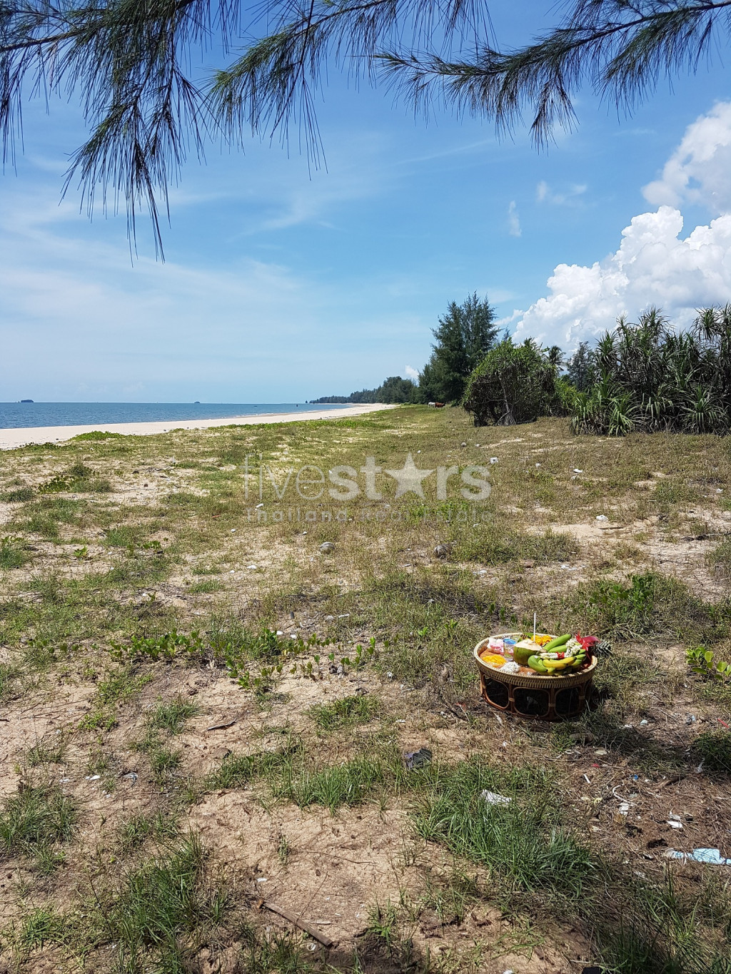Absolute Beachfront Land in Prachuap Bang Saphan Noi, photo 7