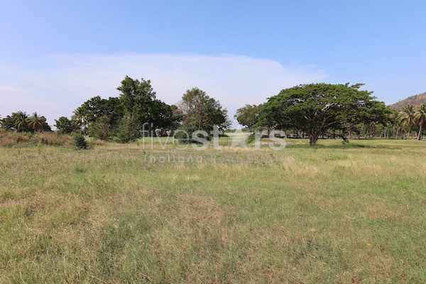 Golf course land Palm Hills for sale, photo 8
