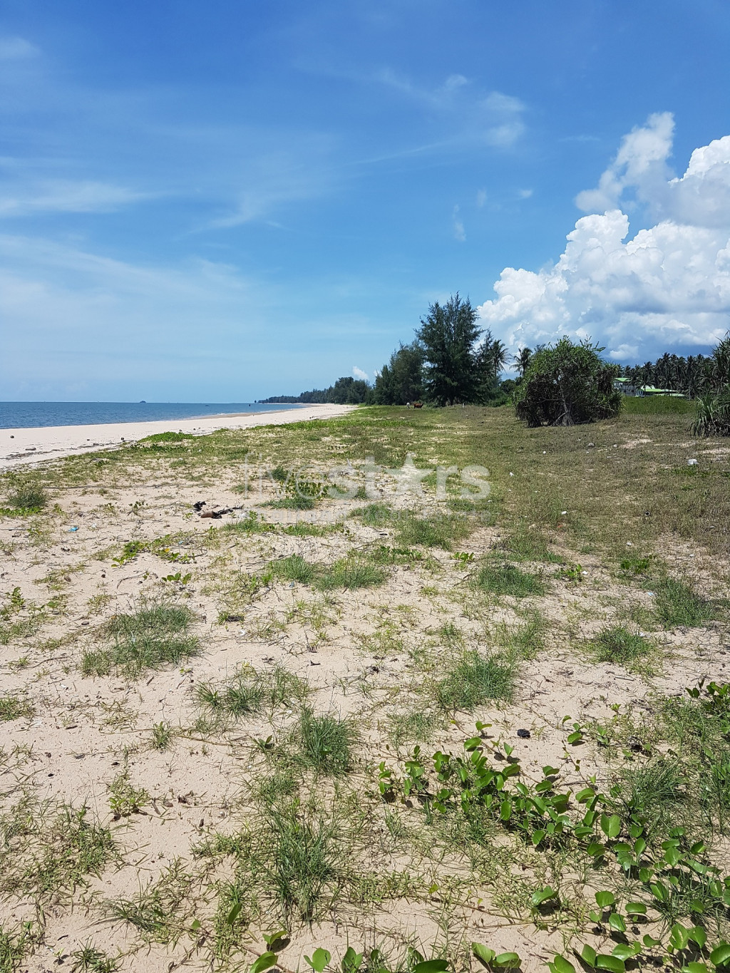 Absolute Beachfront Land in Prachuap Bang Saphan Noi, photo 8