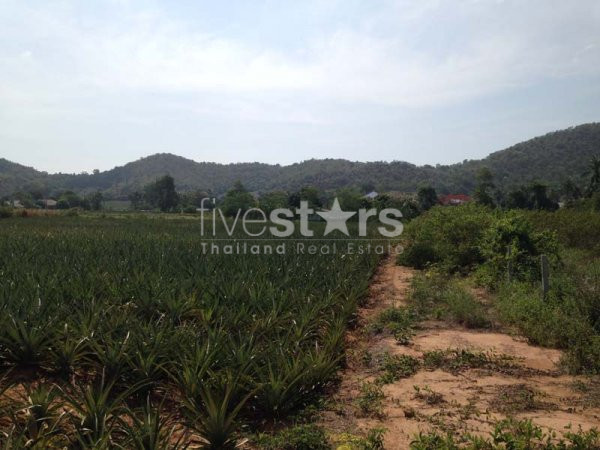 Land With Great Views, photo 3