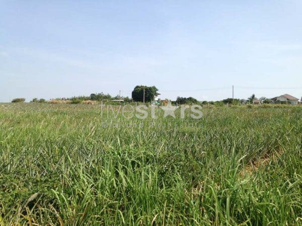 3.5 Rai Of Lovely Land, Nr Main Road With Great Views., photo 7
