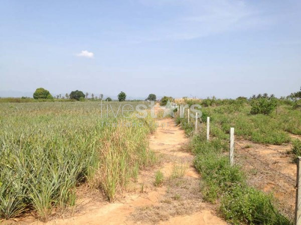 Land With Great Views, photo 9