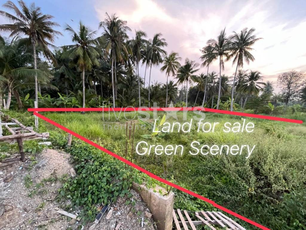 *Terrains* à vendre sur Huahin-Pranburi Soi 105, photo 5
