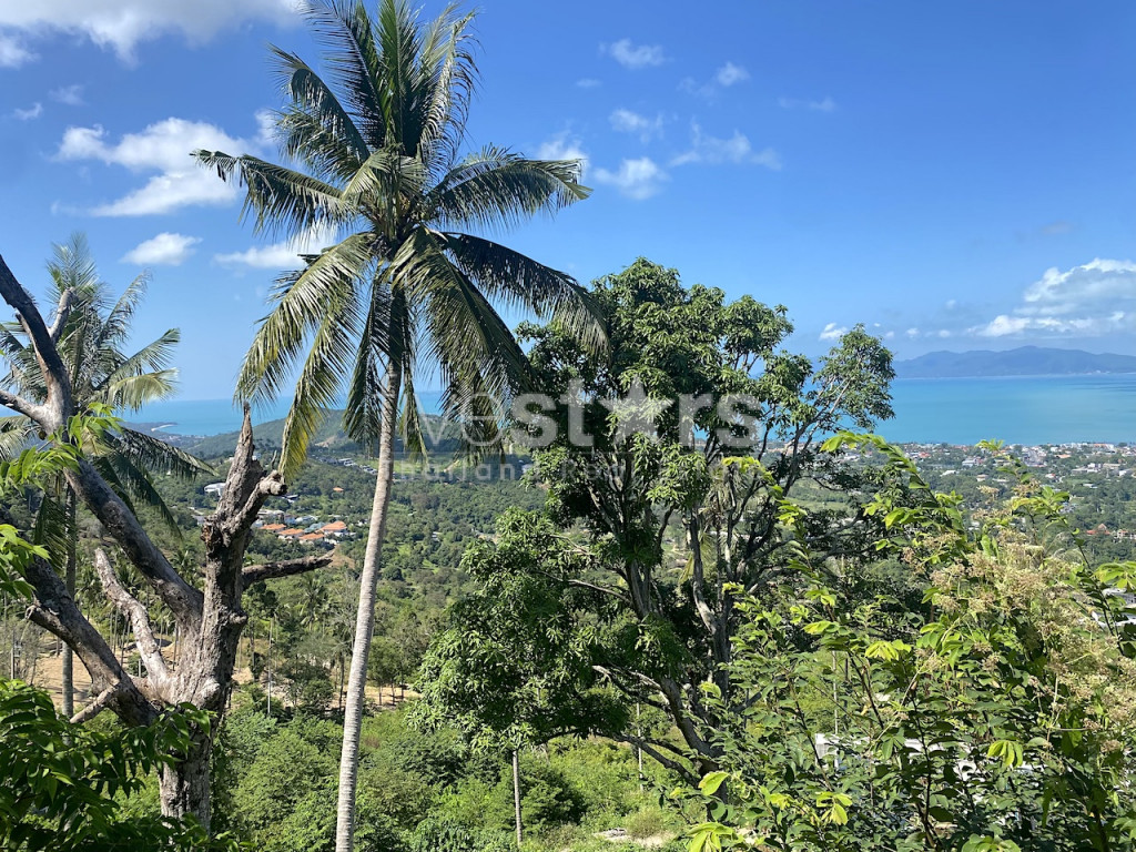 Terrain de 1,600 m2 avec une magnifique vue mer, photo 4