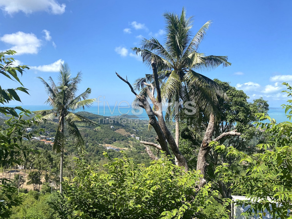 Terrain de 1,600 m2 avec une magnifique vue mer, photo 6