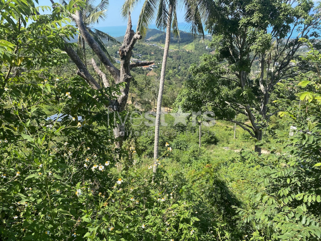 Terrain de 1,600 m2 avec une magnifique vue mer, photo 9