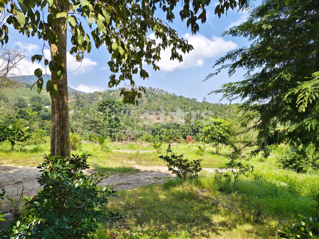 Terrain avec vue sur la montagne à vendre à Meanam (3rai), photo 3