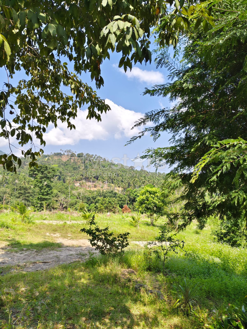 Terrain avec vue sur la montagne à vendre à Meanam (3rai), photo 5