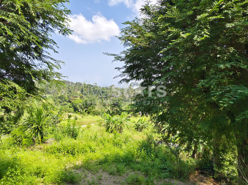 Terrain avec vue sur la montagne à vendre à Meanam (3rai), photo 6