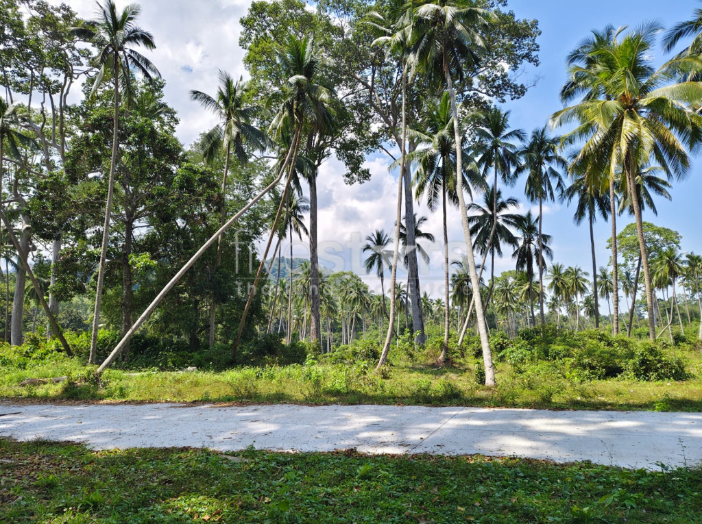 Terrain de 920 m² à vendre à Meanam, photo 2