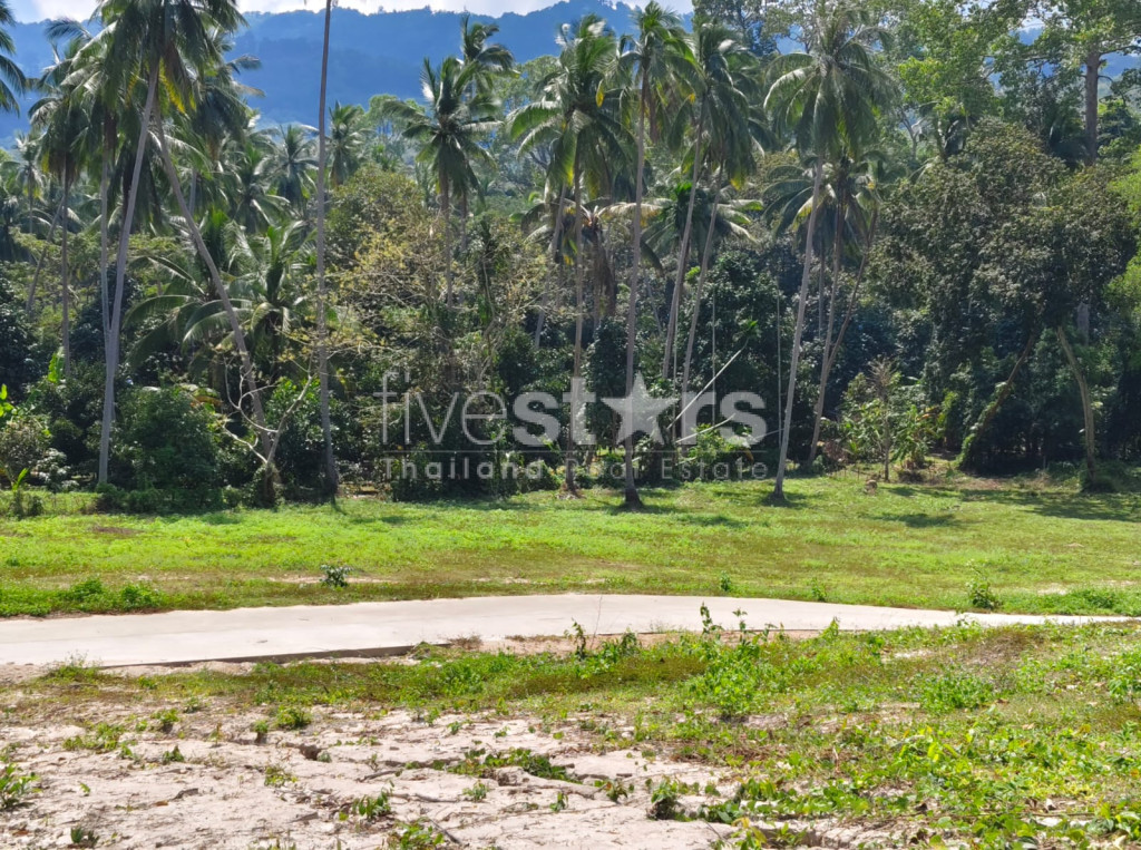 Terrain de 920 m² à vendre à Meanam, photo 3