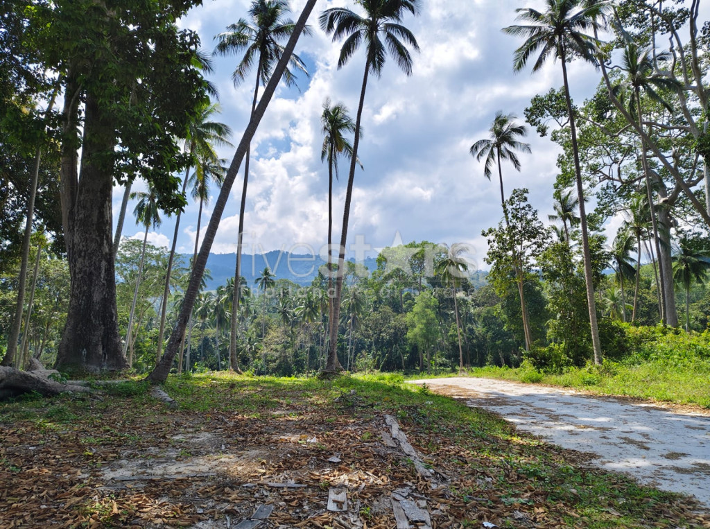 Terrain de 920 m² à vendre à Meanam, photo 4