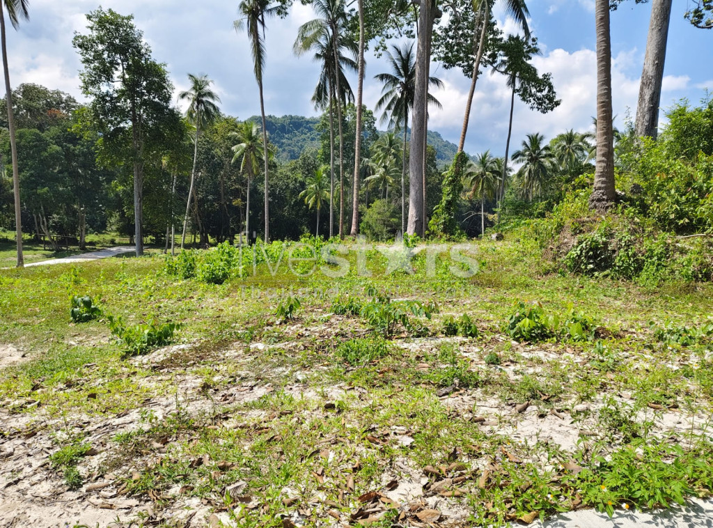 Terrain de 920 m² à vendre à Meanam, photo 8