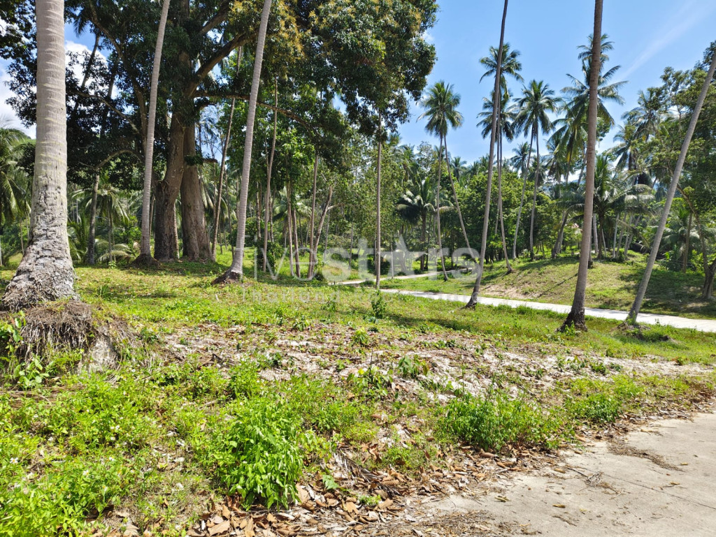 Terrain de 920 m² à vendre à Meanam, photo 5