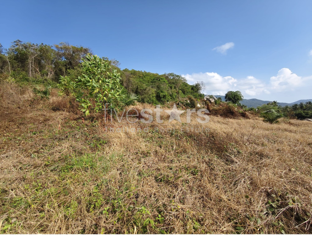 Terrain plat à vendre à Nameang (9 rai), photo 8