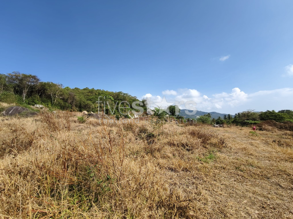 Terrain plat à vendre à Nameang (9 rai)