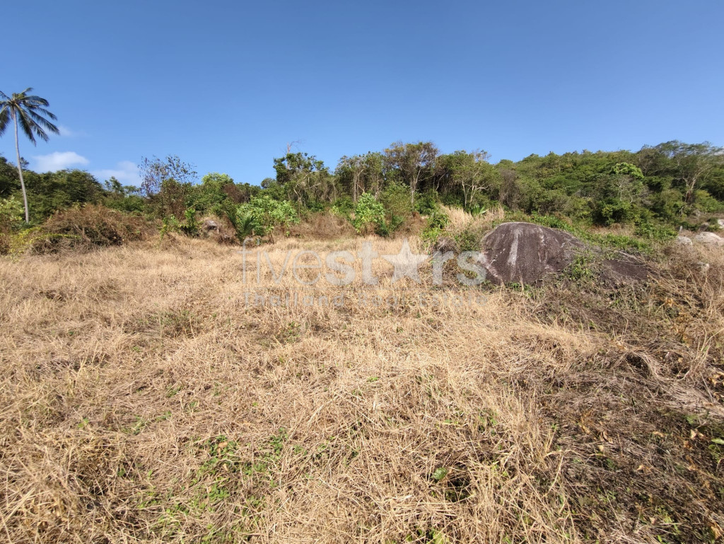 Terrain plat à vendre à Nameang (9 rai), photo 4