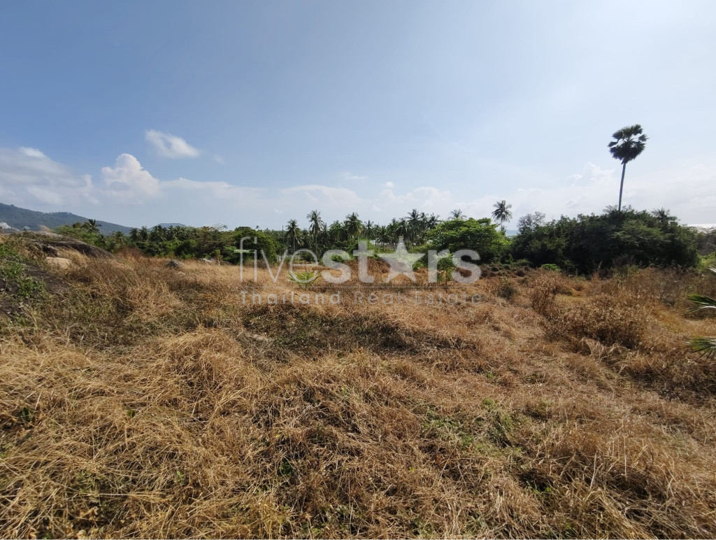 Terrain plat à vendre à Nameang (9 rai), photo 9