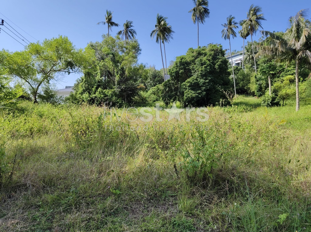 Terrain plat à vendre à Nameang (4 rai)