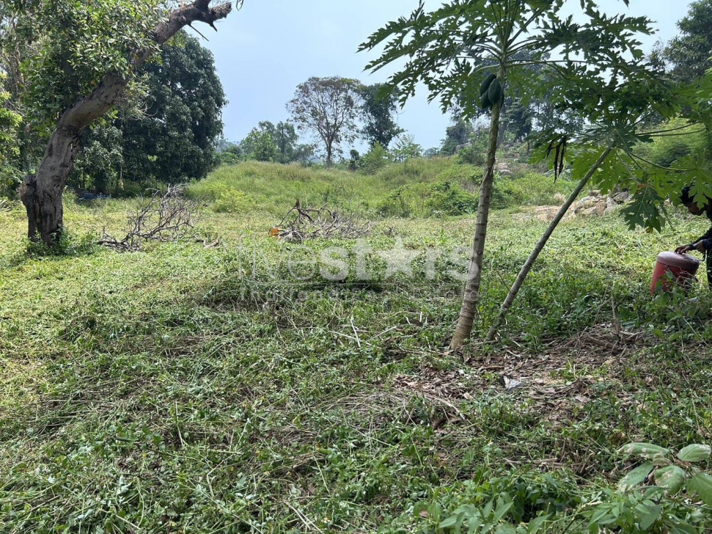 Terrain à Vendre – 1 464 m² dans un Coin Tranquille de Chaweng, Koh Samui, photo 2