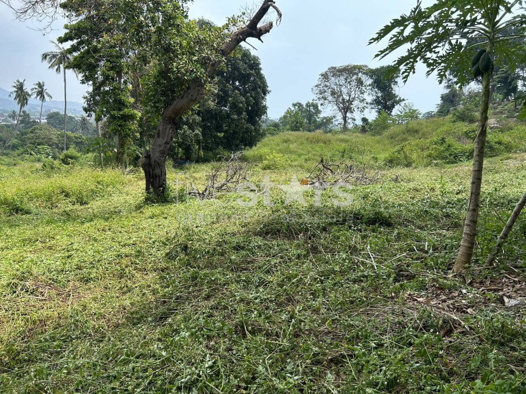 Terrain à Vendre – 1 464 m² dans un Coin Tranquille de Chaweng, Koh Samui, photo 3