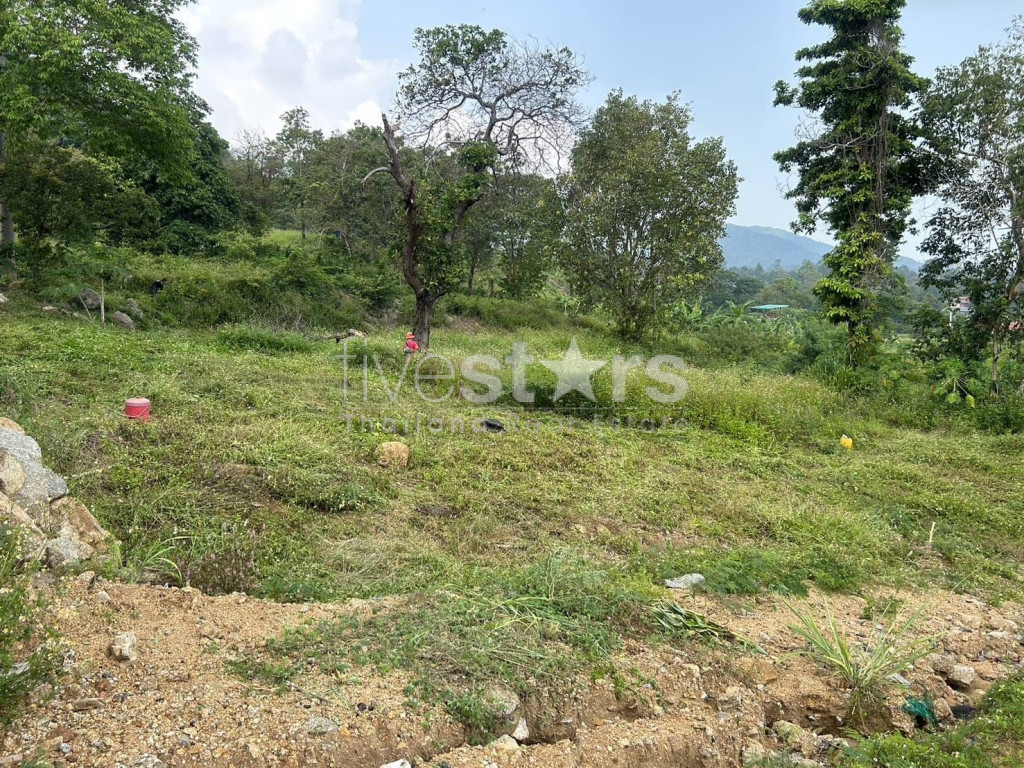 Terrain à Vendre – 1 464 m² dans un Coin Tranquille de Chaweng, Koh Samui, photo 6