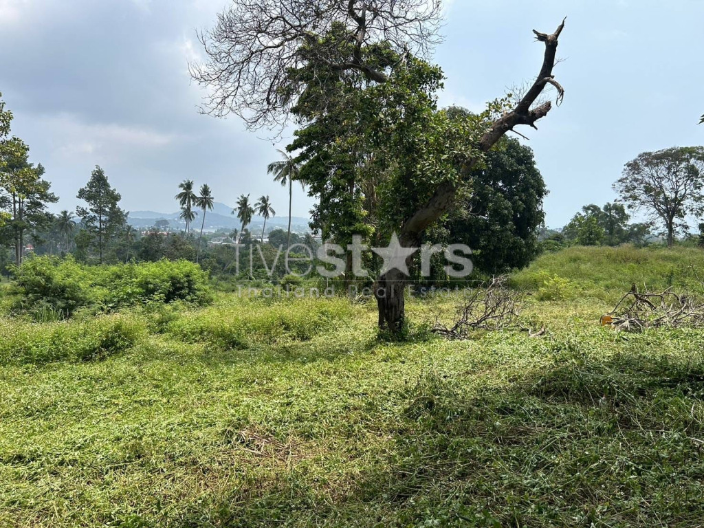 Terrain à Vendre – 1 464 m² dans un Coin Tranquille de Chaweng, Koh Samui, photo 4