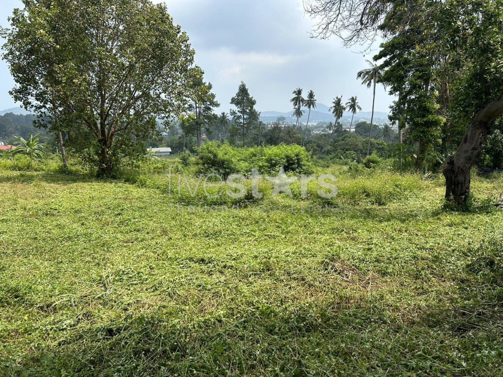 Terrain à Vendre – 1 464 m² dans un Coin Tranquille de Chaweng, Koh Samui