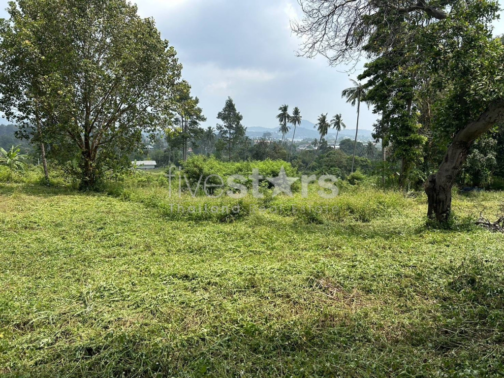 Terrain à Vendre – 1 464 m² dans un Coin Tranquille de Chaweng, Koh Samui, photo 5