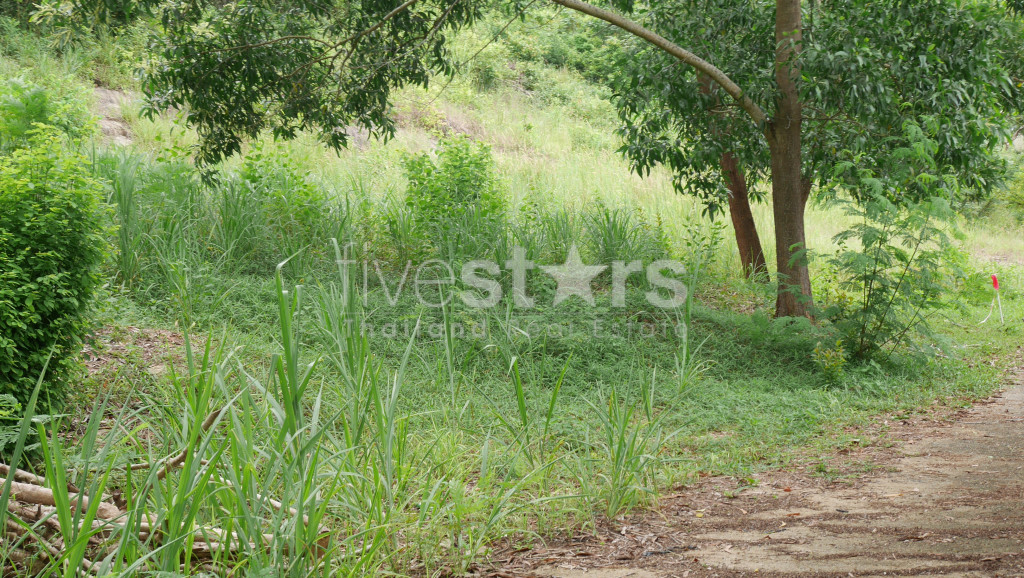 Terrain de 1 200 m² avec vue sur la mer à vendre à Meanam, photo 4