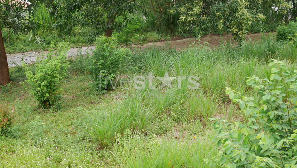 Terrain de 1 200 m² avec vue sur la mer à vendre à Meanam, photo 6