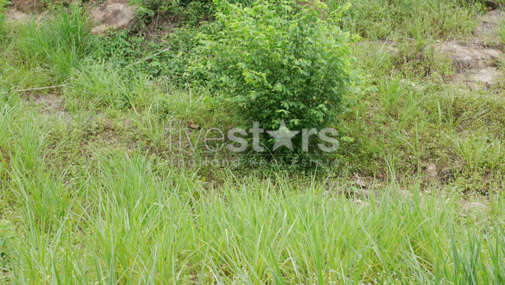 Terrain de 1 200 m² avec vue sur la mer à vendre à Meanam, photo 8