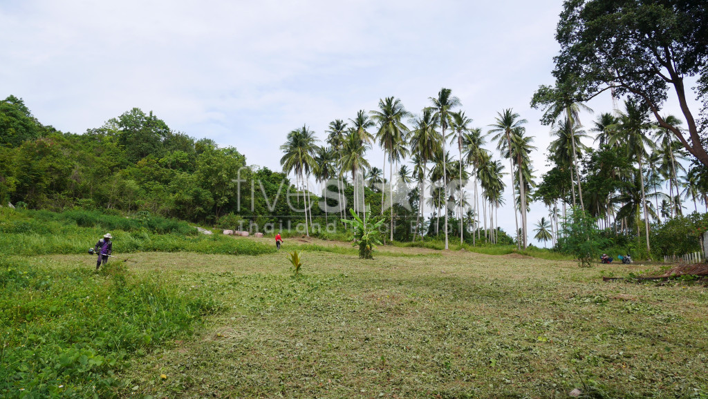 Terrain Plat à Vendre à Thongkrut – 6 356 m², photo 8