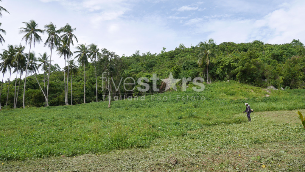 Terrain Plat à Vendre à Thongkrut – 6 356 m², photo 4