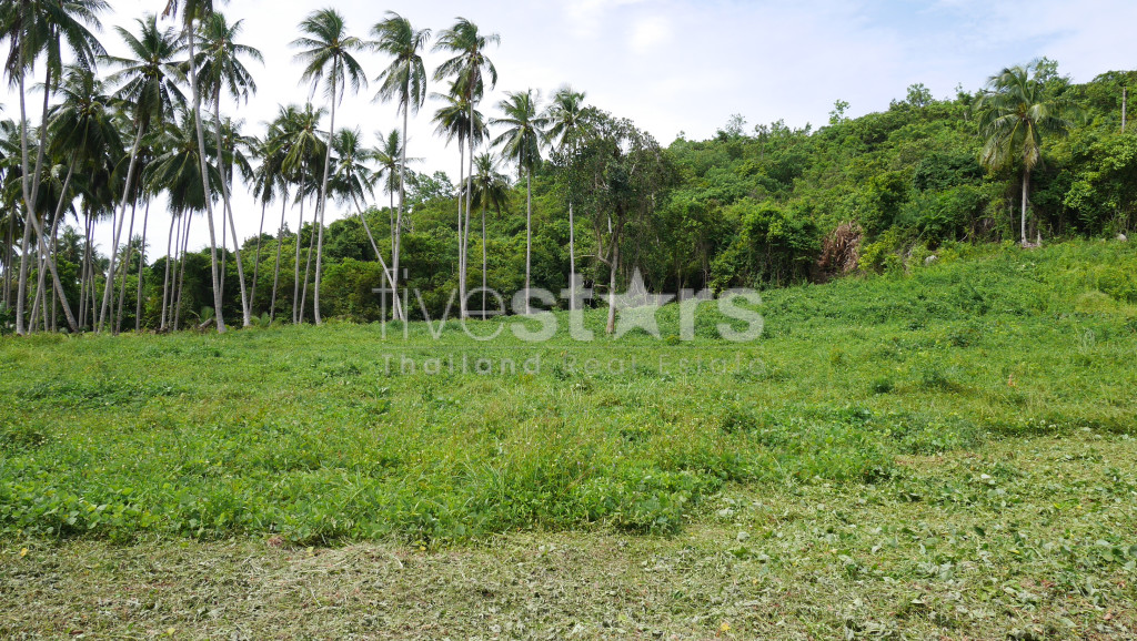 Terrain Plat à Vendre à Thongkrut – 6 356 m², photo 3