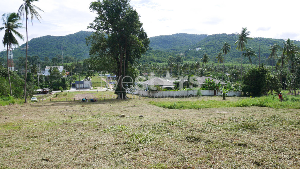 Terrain Plat à Vendre à Thongkrut – 6 356 m²