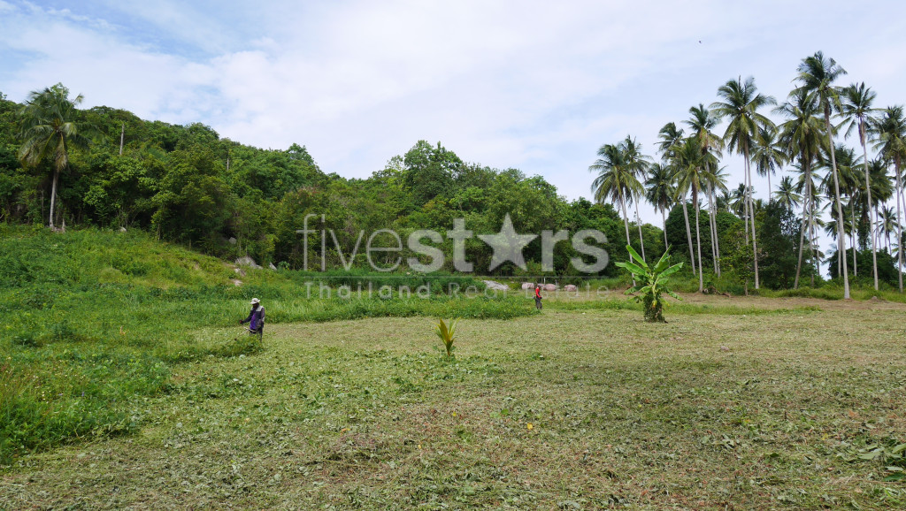 Terrain Plat à Vendre à Thongkrut – 6 356 m², photo 7