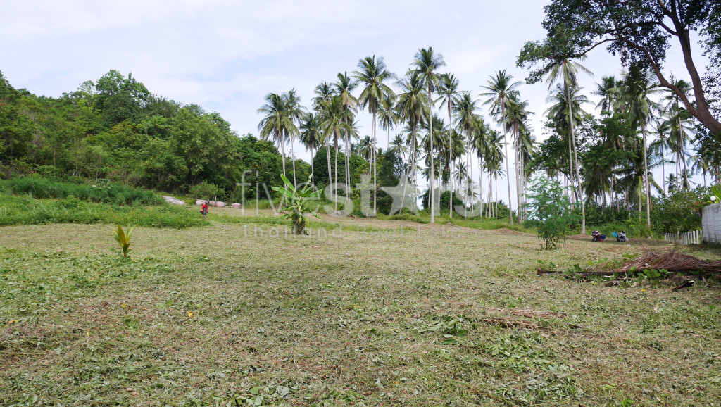 Terrain Plat à Vendre à Thongkrut – 6 356 m², photo 6