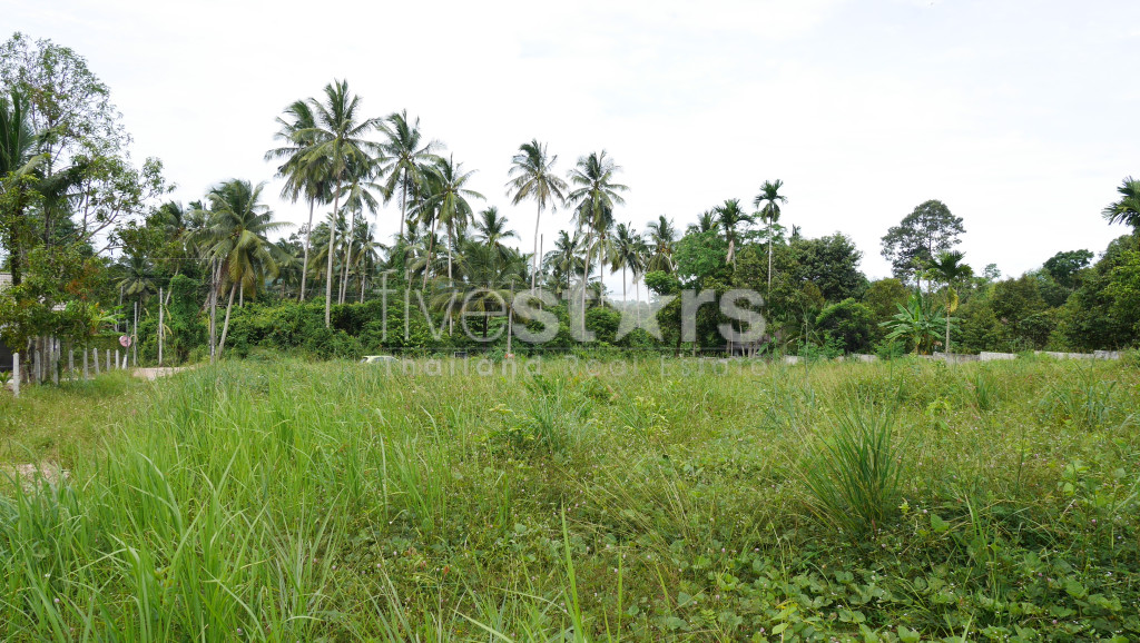 Terrain Plat à Vendre à Taling Ngam – 3 200 m² (Environ 2 Rai), photo 11