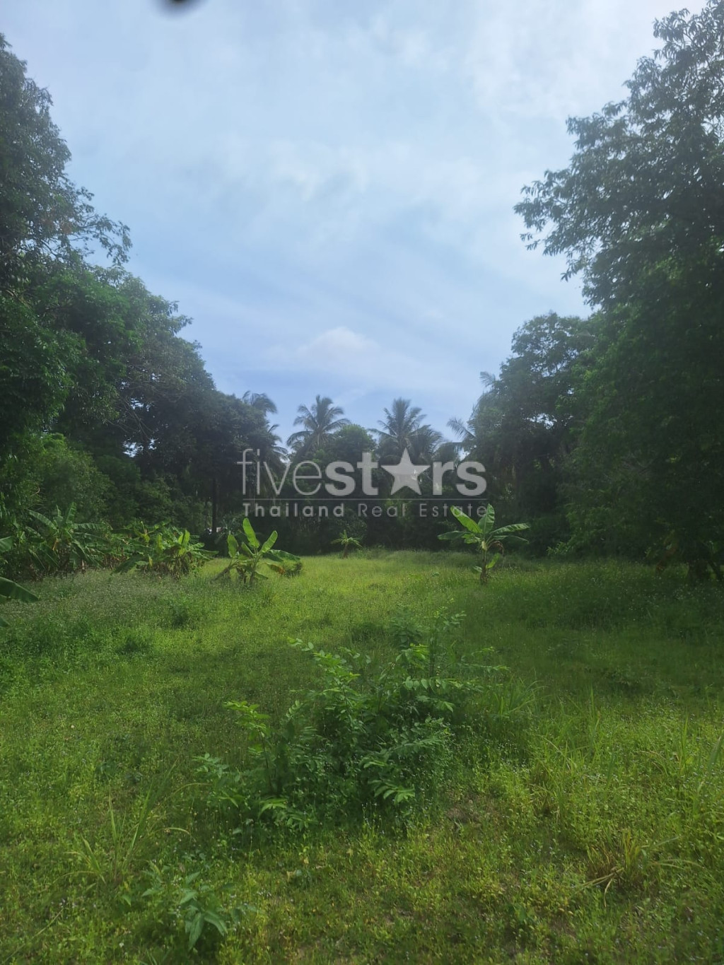 Terrain Plat à Vendre à Leamsor – 4 116 m² | À 1,6 km de la Plage, photo 4