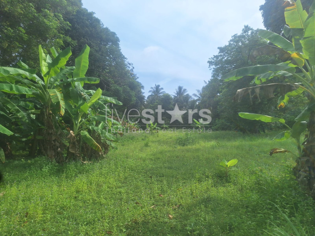 Terrain Plat à Vendre à Leamsor – 4 116 m² | À 1,6 km de la Plage
