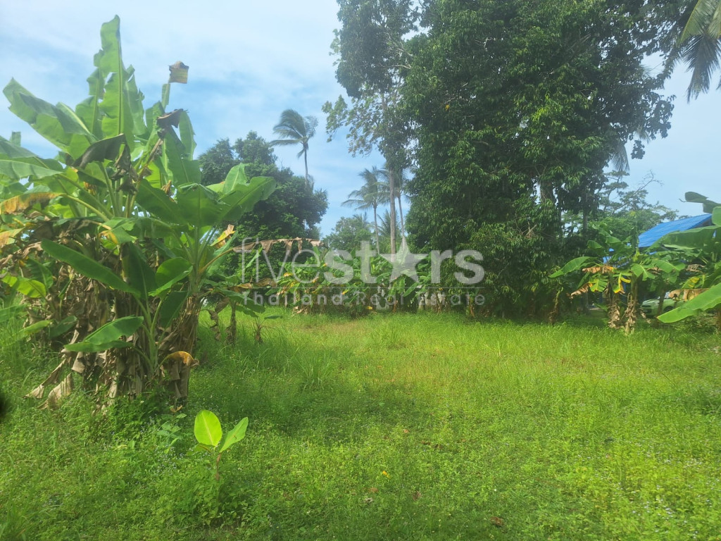 Terrain Plat à Vendre à Leamsor – 4 116 m² | À 1,6 km de la Plage, photo 2